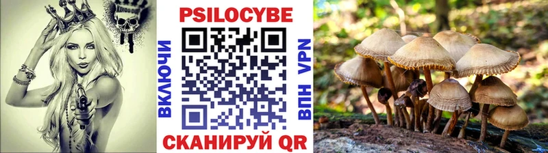 Галлюциногенные грибы GOLDEN TEACHER  Шумерля 